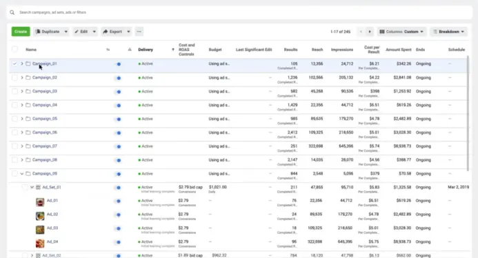 Meta Ads Manager campaigns